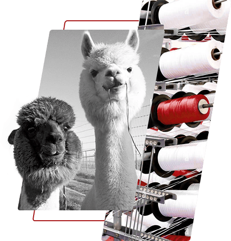 Farvet polyestergarn